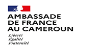 Logo ambassade de france