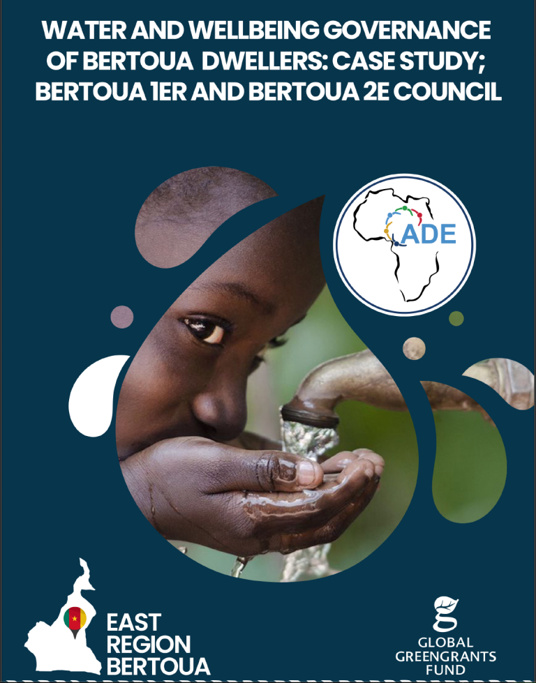 Read more about the article Water and wellbeing governance of bertoua dwellers: case study bertoua 1er and bertoua 2e council